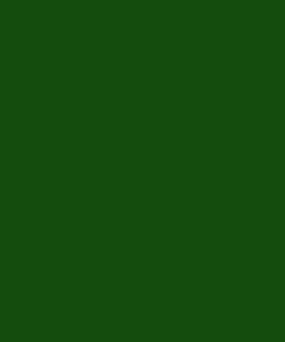 Course-Option-Splash-placeholder